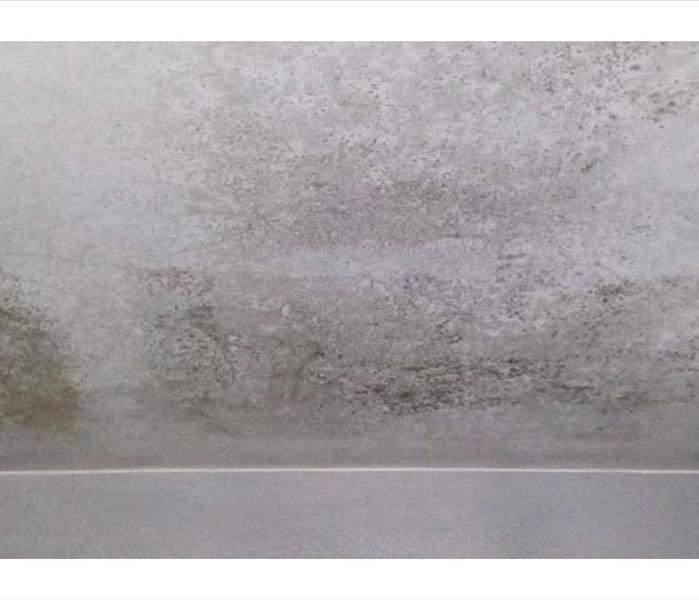 Mold on ceiling due to water damage