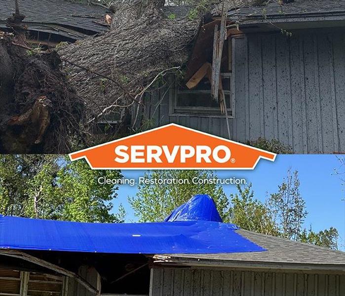 Tree Damage on Roof